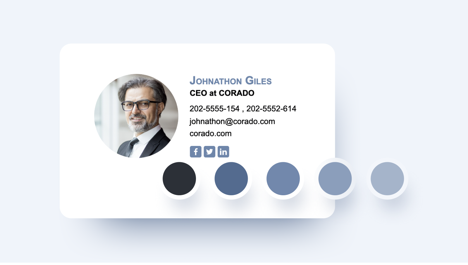 Email signature for CEO - colors