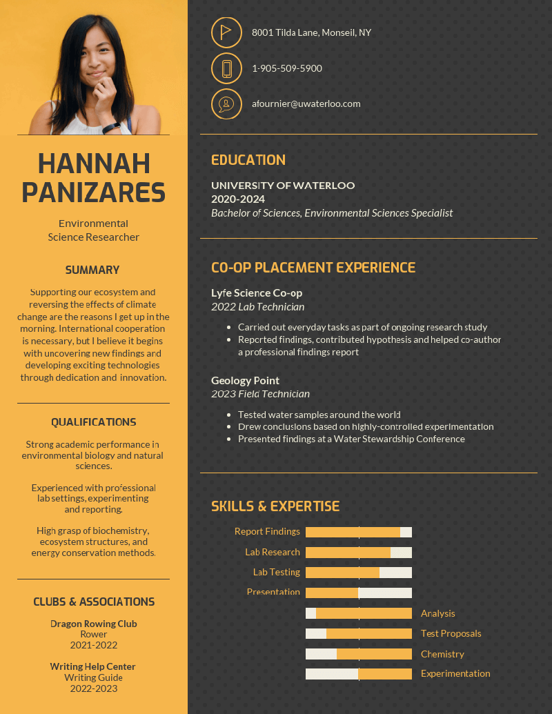 Resume Infographic